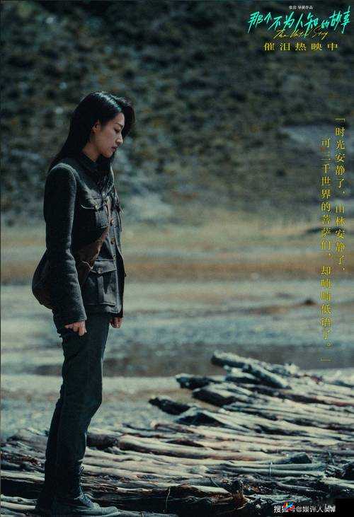 赵敏与张倩：情感纠葛的背后故事