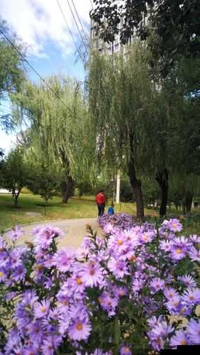 一二三四手机视频：精彩呈现多样生活点滴