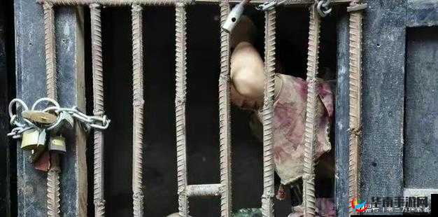 缅甸 3 分 19 秒砍人血腥场面令人震惊至极