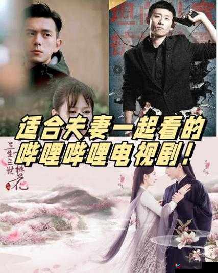 适合夫妻看的哔哩哔哩电视剧推荐：多部精彩好剧不容错过