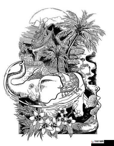 西方 GOGOGO：探寻西方文化的奥秘与独特魅力之旅