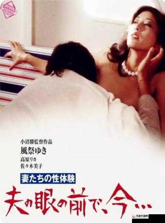 HD 成人免费电影：畅享无尽精彩大片