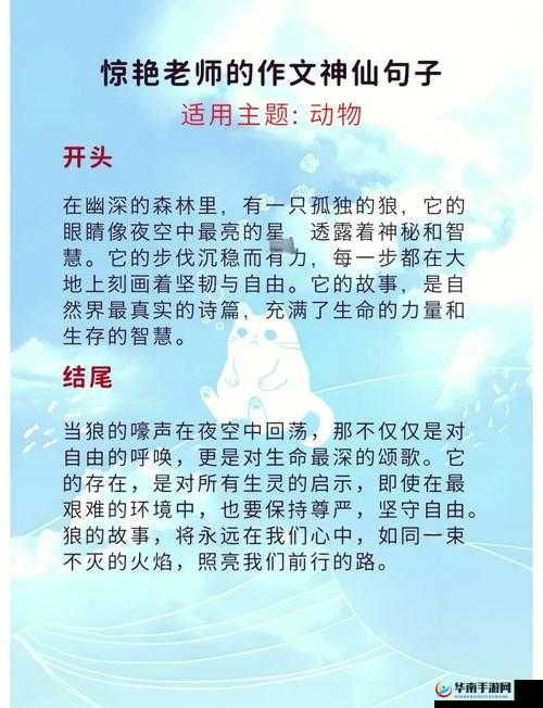 美国 Zoom 动物园：动物们的奇妙世界与精彩故事