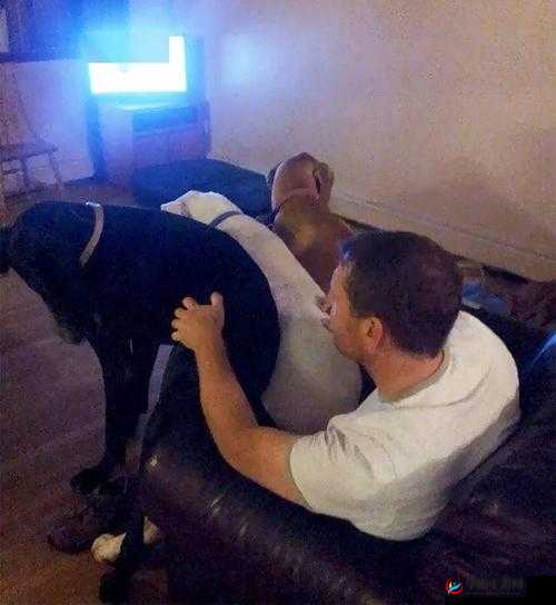 68 日本 XXXXXXXXXXXX10：深度剖析其背后的文化与社会现象