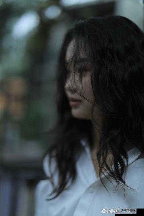 爱摄影日韩电影在线观看：捕捉光影中的心动瞬间