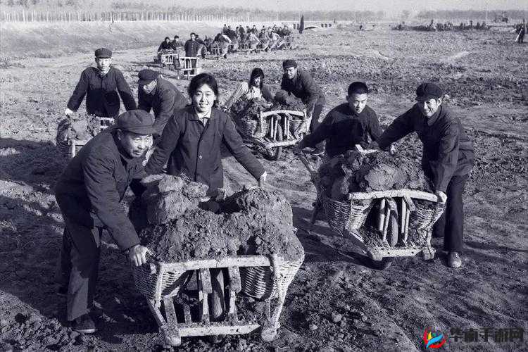 在妈妈肥沃的土地上开垦