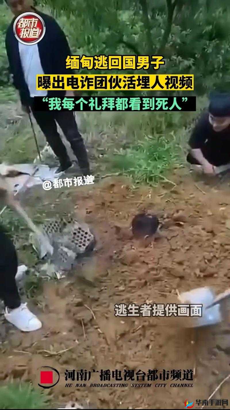 缅甸恐怖网站 LOMANDO 相关信息及分析探讨