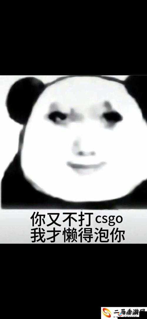 暴躁老姐的 CSGO 心得分享：高清画质，不用付费
