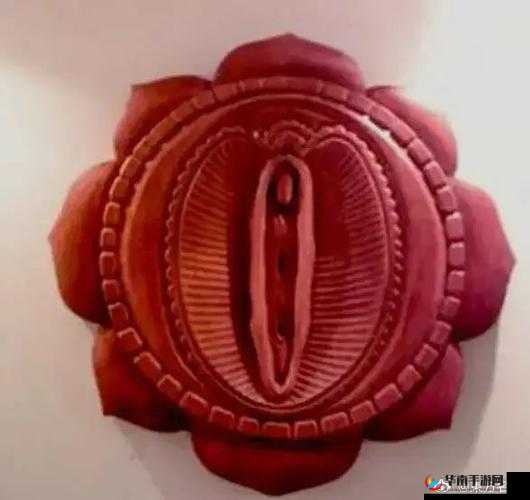 肉莲花吸入金刚杵会怎么样：这是一种奇特的现象引发的思考