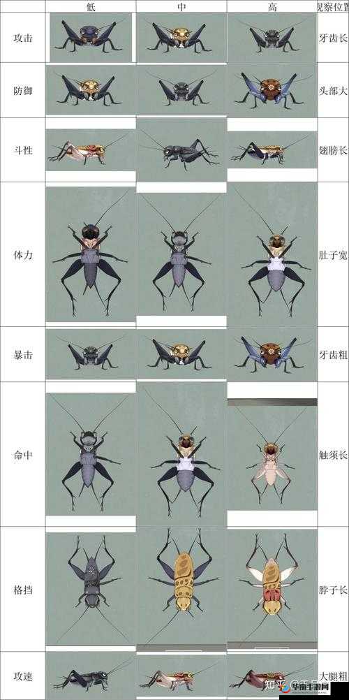 沉默的蟋蟀怎么进化的：深度解析其进化历程与机制