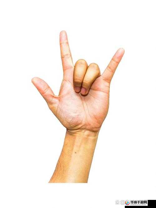 扣自己的正确手势图：详细解读与分析扣自己手势的要点和意义
