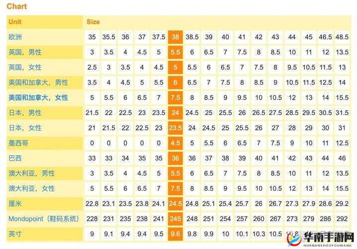 欧洲多尺码 3538：时尚潮流的多样选择