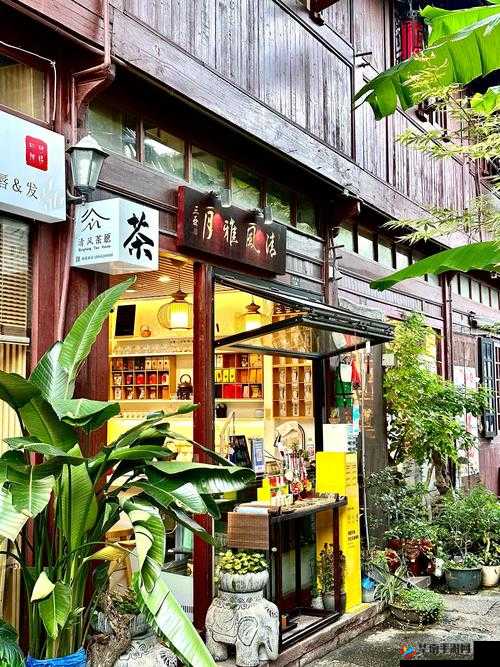 一品色堂怡红院:探寻那独特的古典风情与韵味