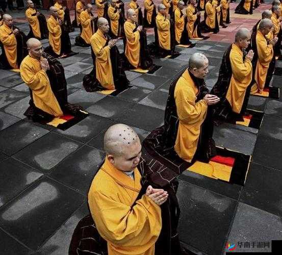 四个和尚一起上：他们的奇妙修行之旅