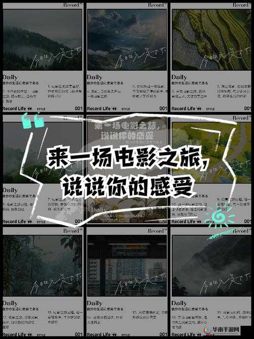 探花片多多：探寻别样精彩影视之旅