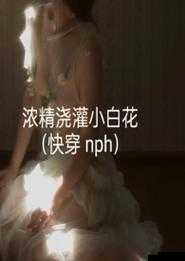 小白花被浇灌日常轻梦：清纯与湿漉的交织