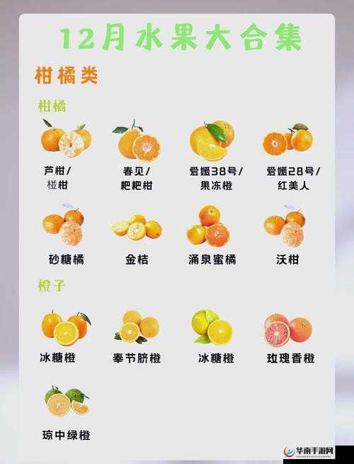 秋葵香蕉草莓芒果绿巨人 18 的奇妙水果盛宴