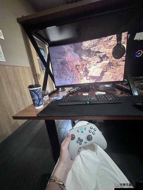 日本高清 CHEAPWINDOWSVPS：畅享极致网络体验