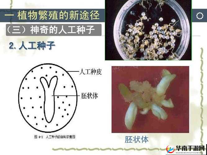 优质精液灌溉系统：助力植物茁壮成长新途径