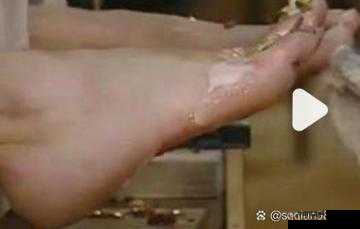 女孩子罪犯涂蜂蜜放山羊行为引发的离奇事件