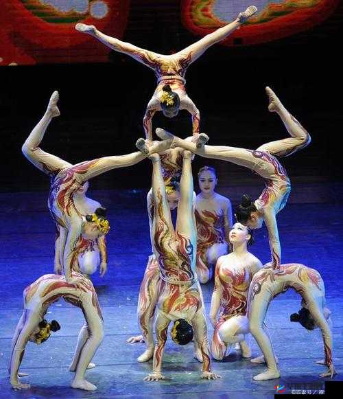 探索性杂技 XXXXX 的独特魅力与完整性呈现