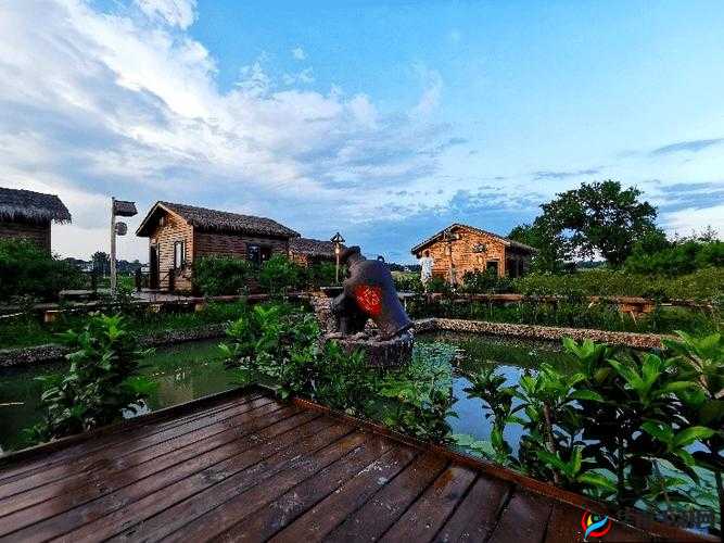 天美麻花星空免费观看乡村版:独特乡村视角呈现别样精彩