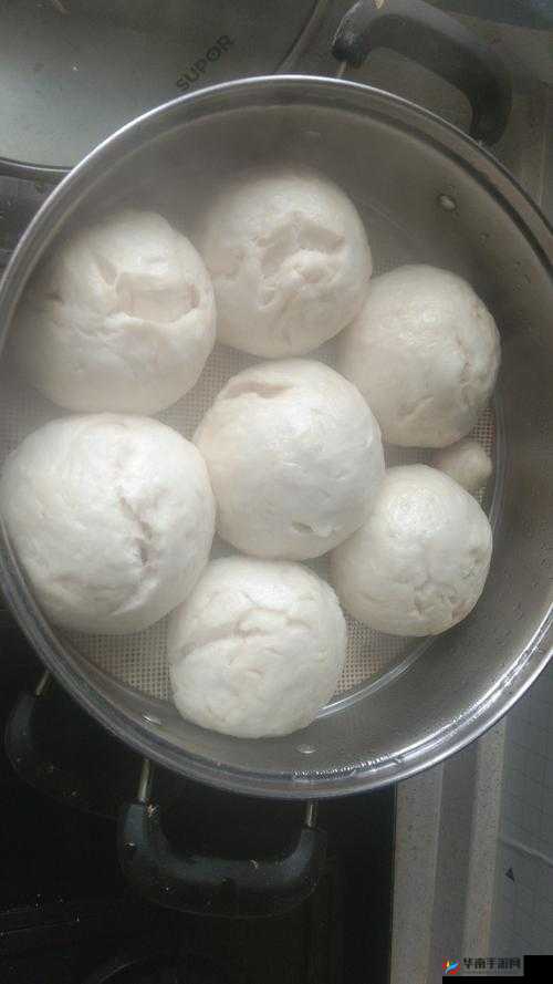 数学老师的大馒头真好吃:一位老师的独特美食故事