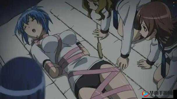 丕丕漫画阅读免费登录页面:带你开启精彩漫画之旅