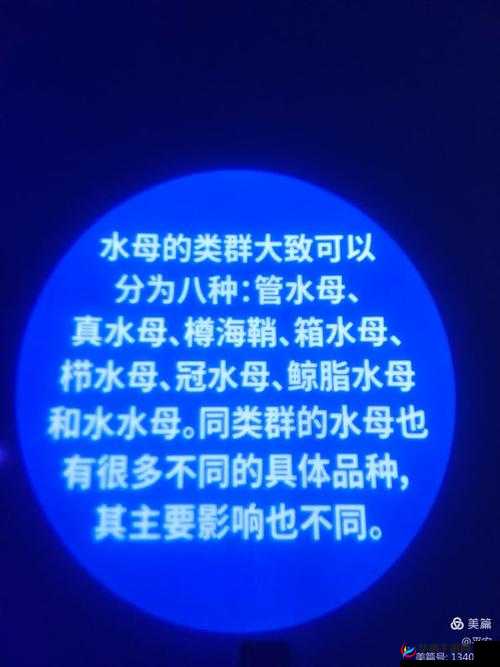 99 国精产品灬源：探寻全球精品的奥秘与魅力