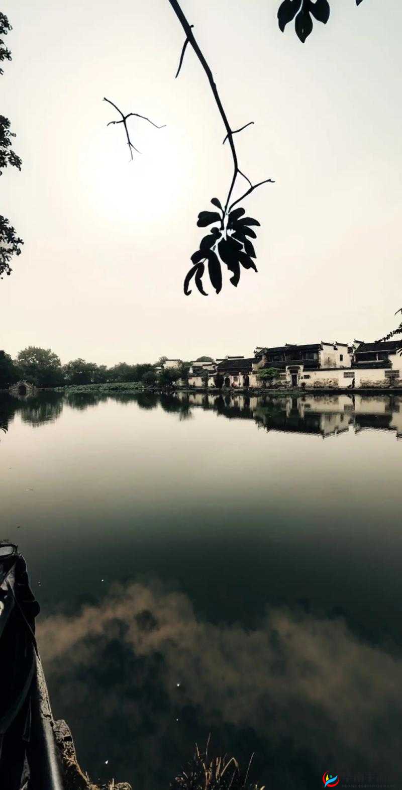 japonensis 中国农村:展现独特乡村风貌与人文魅力