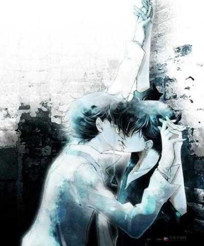 搞基網站入口：探索独特基情世界的精彩入口