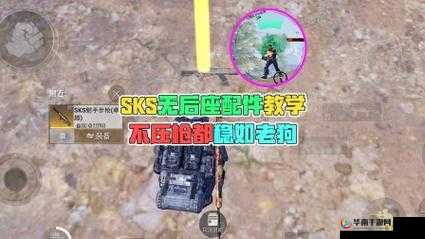 和平精英SKS夜灯，闪耀战场的独特魅力