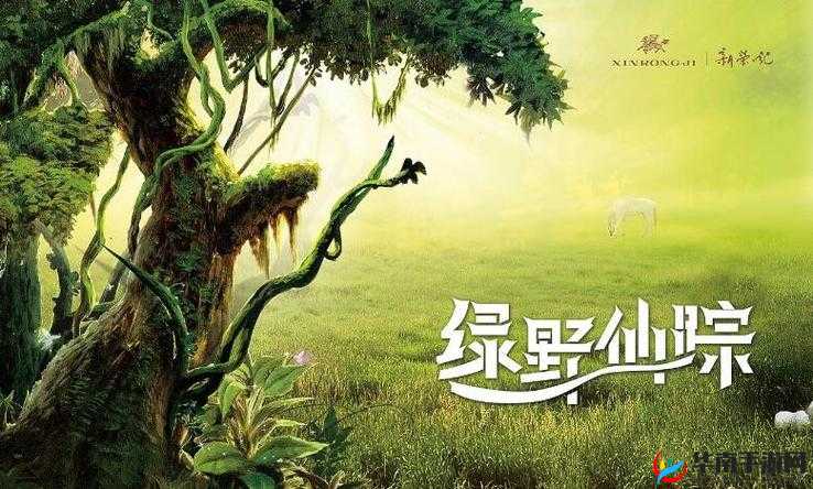 柬埔寨幼稚绿野仙踪www 将迎来全民直播这一盛事值得期待