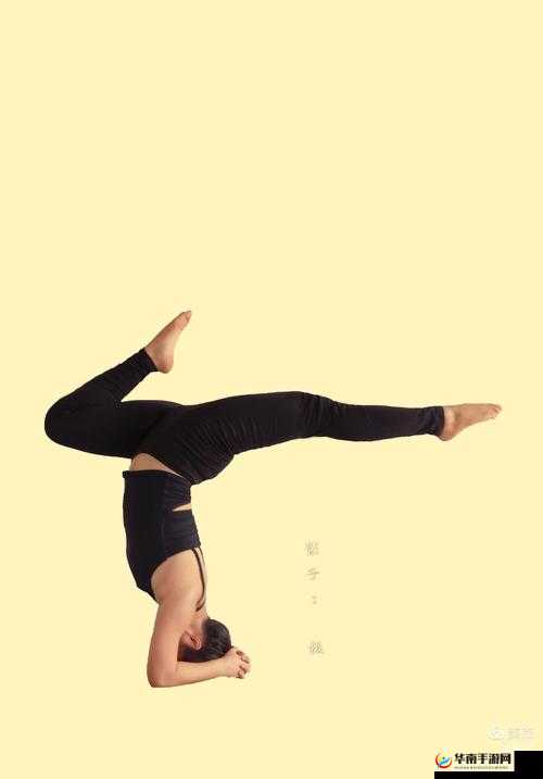 心海ちゃんが脚法：展现独特魅力与精湛技艺的秘诀