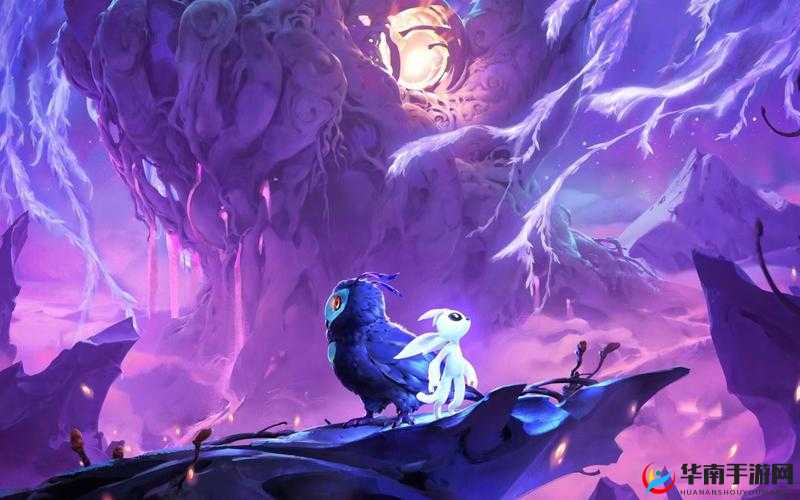 奥日与萤火意志一周目全攻略汇总