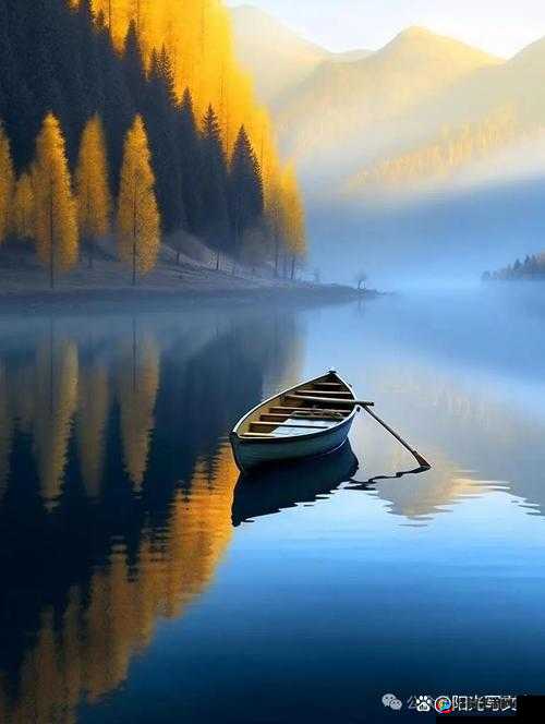 悠雨汤芳：在诗意世界中追寻心灵的宁静与美好