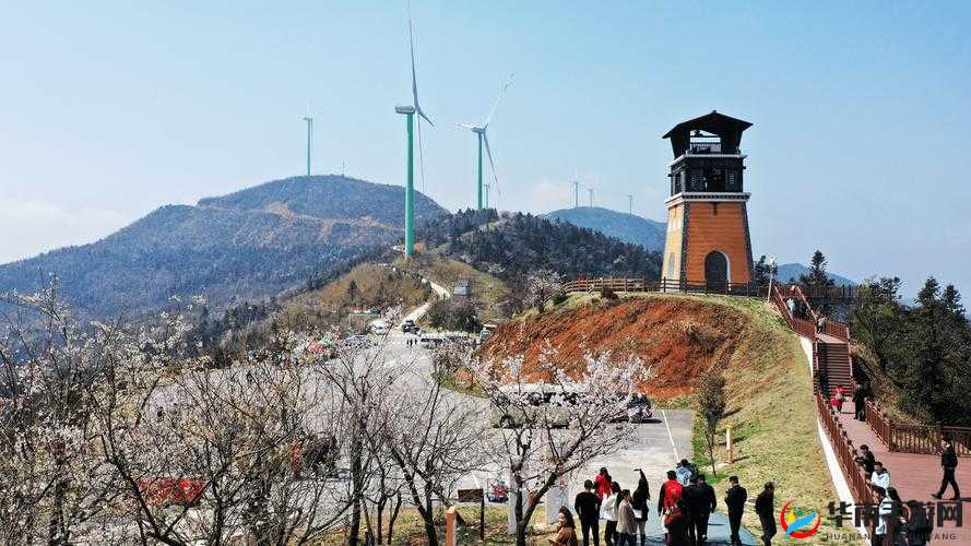 笑傲江湖，花开烂漫，奇遇之旅