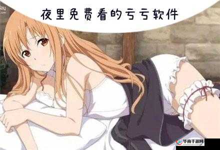 免费夜里 18 款禁用软件大全免费：全面了解这些特殊软件的特性