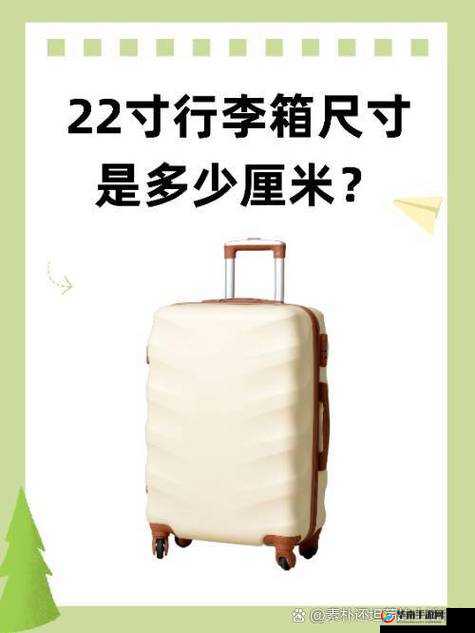 17 厘米×20 厘米的尺寸相关独特