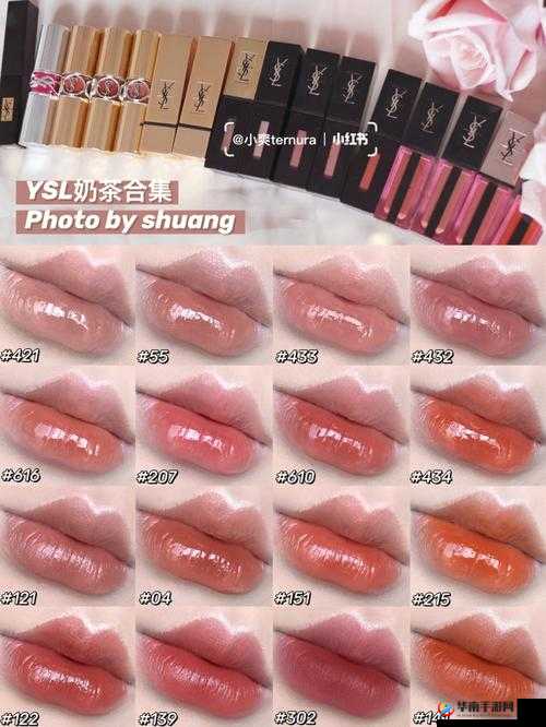 Ysl 蜜桃色 2357- 打造迷人妆容的必备唇色之选