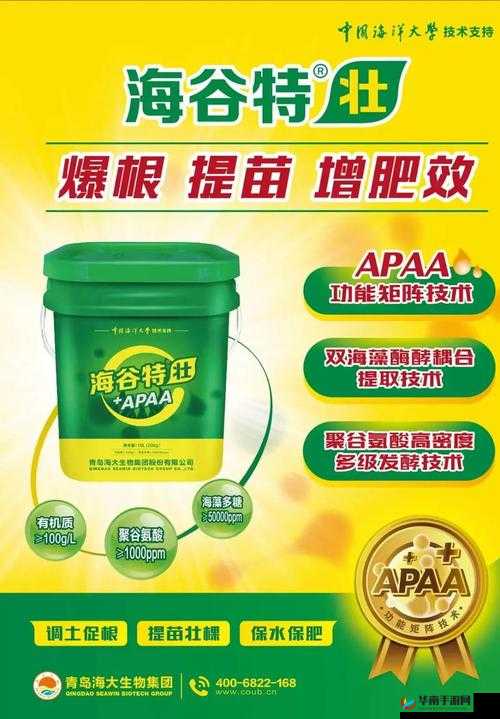 国精产品一品二品在的独特魅力与非凡价值