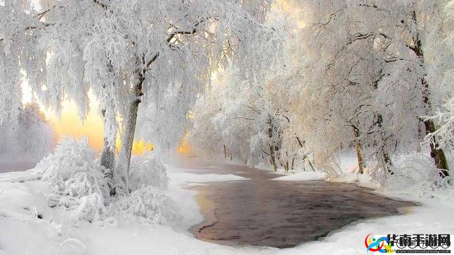 亚洲经典一曲二曲三曲:探索亚洲音乐的辉煌与传承