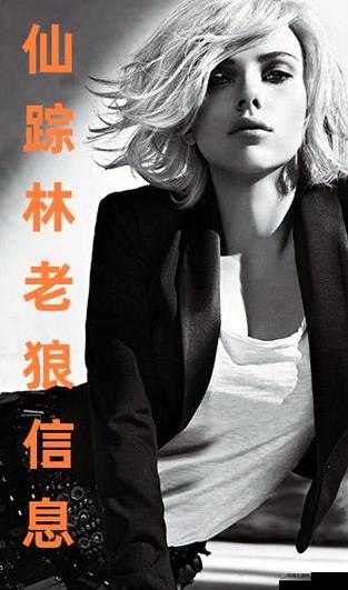 仙踪林直接入口～老狼大豆行情网相关内容及精彩探索