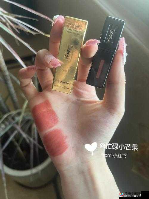 ysl 蜜桃棕调色 APP：让你的照片色彩更迷人的神奇工具