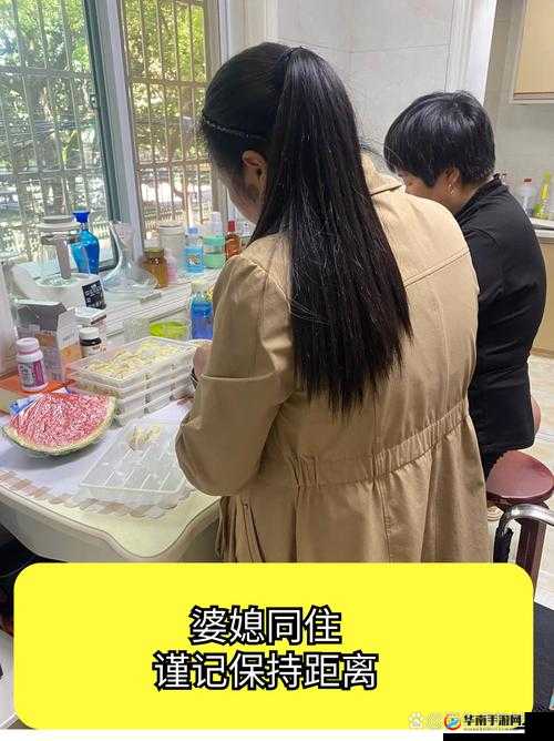 安徽妇女在 BBBB 连续推搡 BBBB 视频：引人深思的家庭矛盾