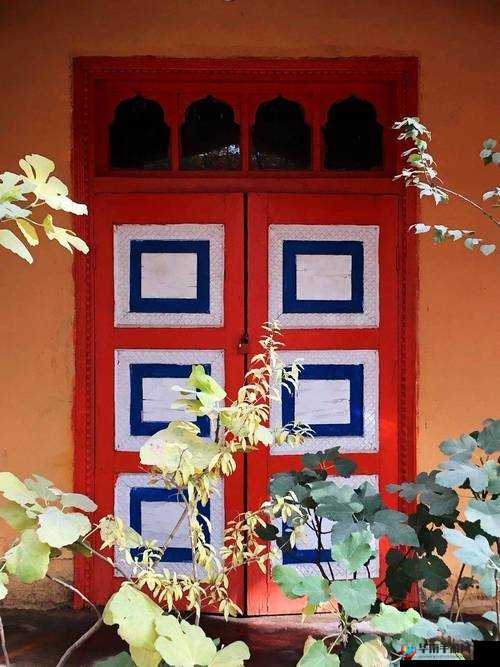 在线国产门新疆一区精品，带来独特视觉体验