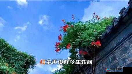 忘忧电台,风陵渡上的美丽邂逅与情感交织