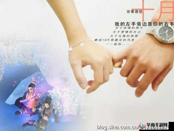 公交车上最后一排的爱:一段触动心灵的温暖邂逅