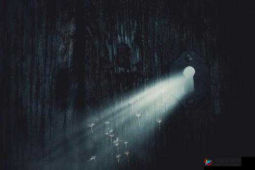 ceke 高清 BNДeo 清：探索未知的高清世界