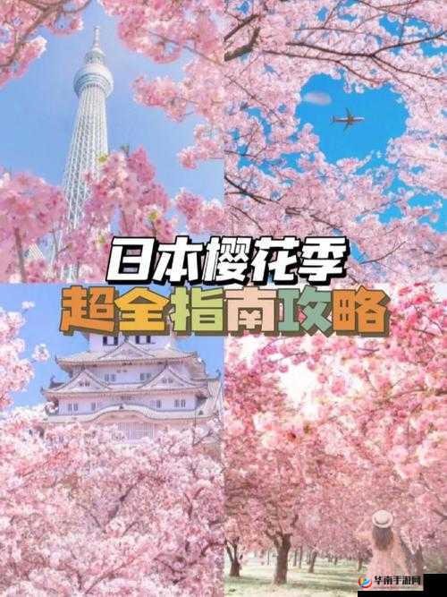 如何进入樱花动漫官网详细指南及步骤说明